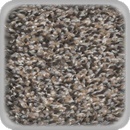 carpet sample color timberland