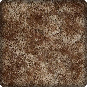 sample of carpet