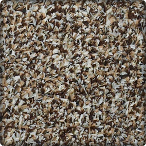 Living room with carpet