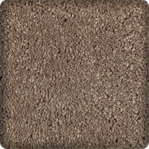 Living room with carpet