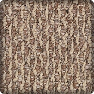 Living room with carpet