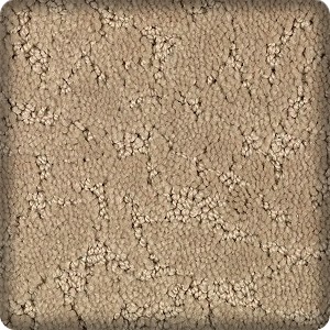 Living room with carpet