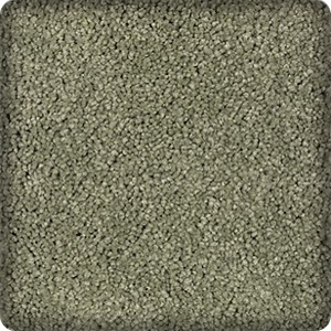 sample of carpet