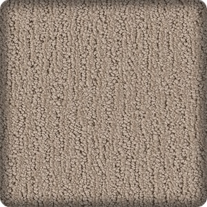 sample of carpet
