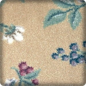 Living room with carpet