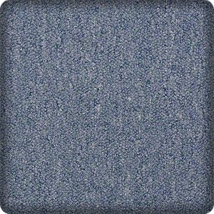 Living room with carpet