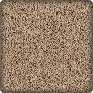 Living room with carpet