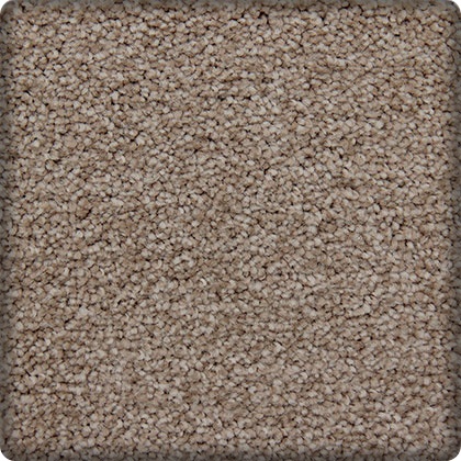 sample of carpet